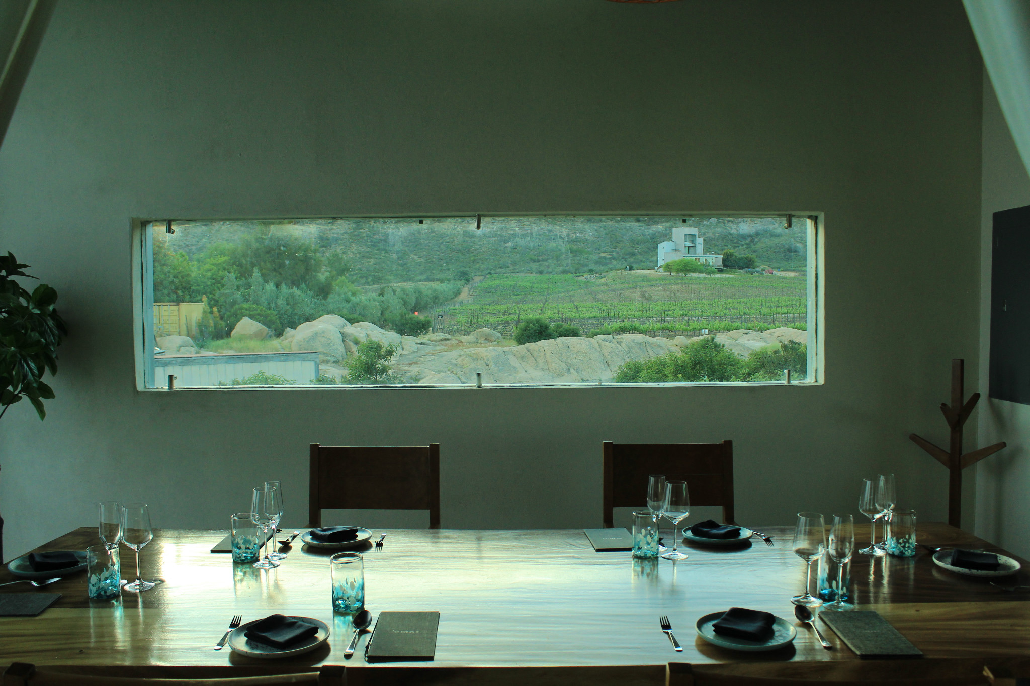 Mesa preparada en el comedor de EMAT, con un ventanal hacia los viñedos y las montañas.