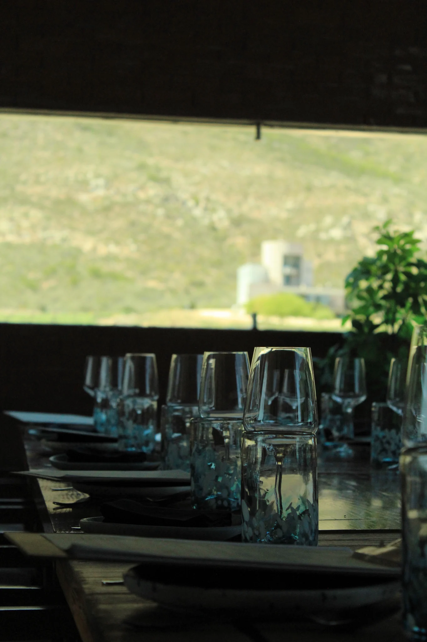 Mesa preparada en EMAT frente al paisaje del Valle de Guadalupe.